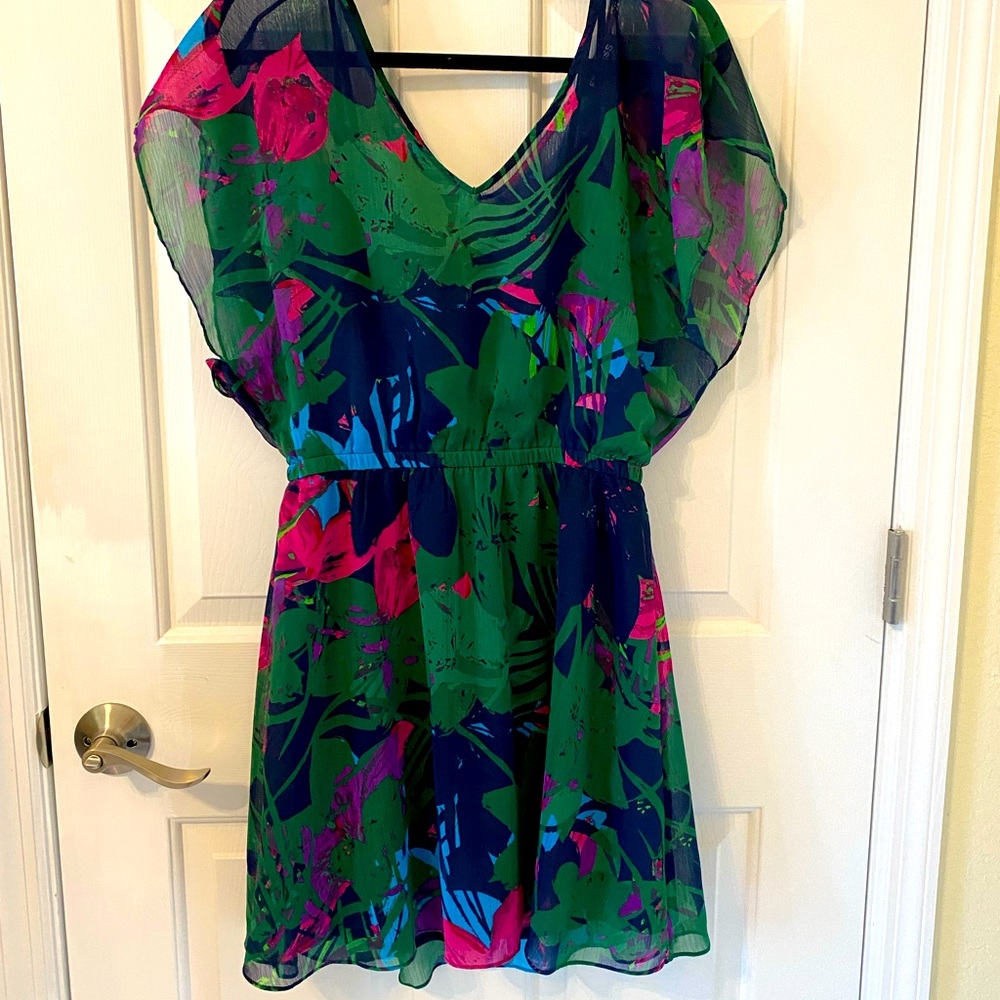 Express brand lined dress.